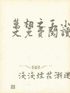 万相之王小说全文免费阅读下载封面