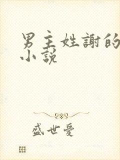 男主姓谢的现言小说封面