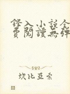 锋入小说全文免费阅读无弹窗