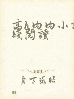 高h肉肉小说在线阅读