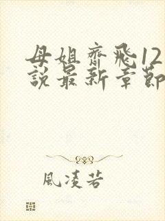 母姐齐飞12小说最新章节更新时间