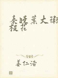 秦晓叶大卫我的校花封面