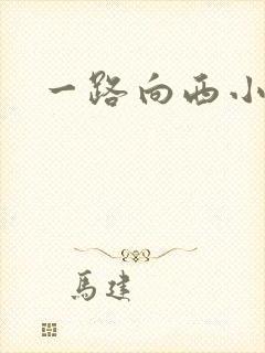 一路向西小说