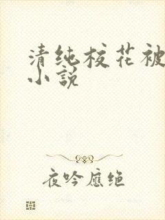 清纯校花被调教小说