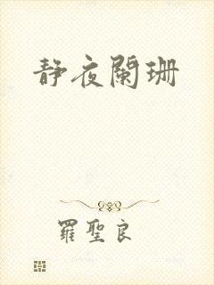 静夜阑珊