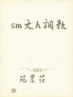 sm文h调教