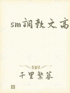 sm调教文高h