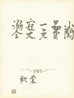 溺宠一品小狂妻全文免费阅读全文封面