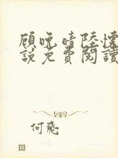 顾晚晴陆怀铮小说免费阅读最新章节