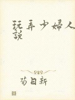 玩弄少妇人妻小说封面