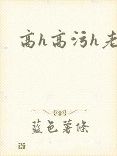 高h高污h老妇