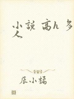小说 高h 多人