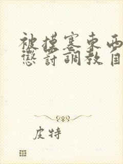 被摸塞东西进去惩罚调教自己