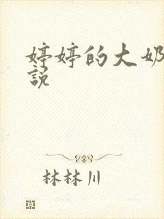 婷婷的大奶子小说封面