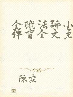 全职法师小说无弹窗全文免费阅读封面