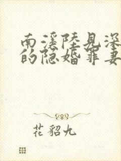 南溪陆见深陆少的隐婚罪妻