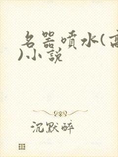 名器喷水(高h)小说封面