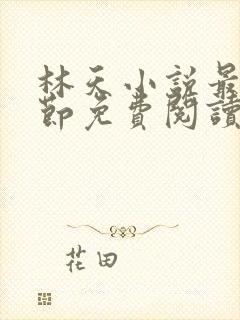 林天小说最新章节免费阅读全文