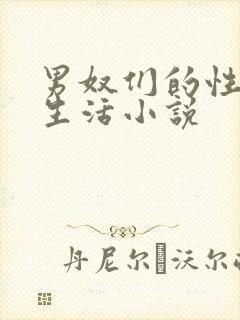 男奴们的性调教生活小说封面