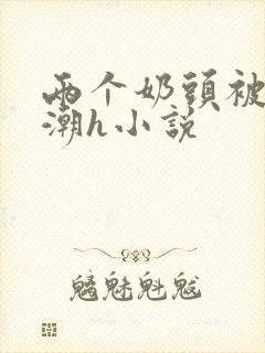 两个奶头被捏高潮h小说