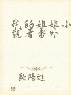 我的姐姐小说旁观者番外