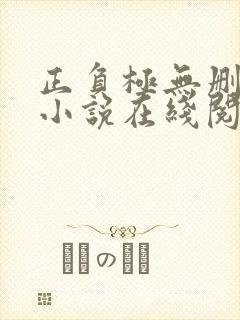 正负极无删减版小说在线阅读