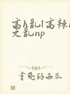 高h乱l高辣h文乱np封面