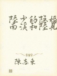 陆少的隐婚罪妻南溪和陆见深
