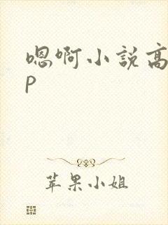 嗯啊小说高hnp