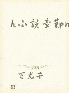 h小说章节np