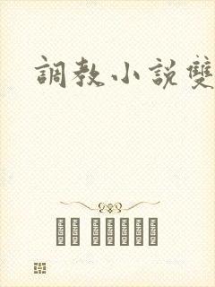 调教小说双性人