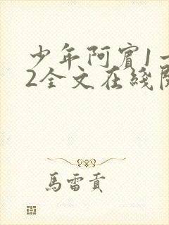 少年阿宾1一72全文在线阅读封面