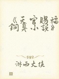 《天官赐福墨香铜臭小说》