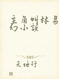 主角叫林易的玄幻小说