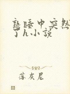 熟睡中突然被进了h小说封面