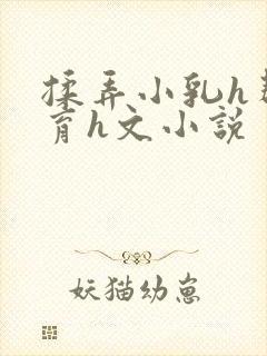 揉弄小乳h帮发育h文小说