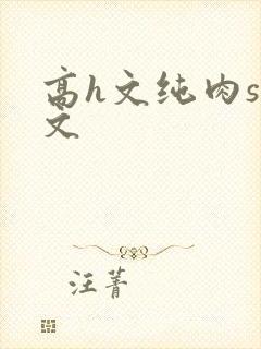 高h文纯肉sm文