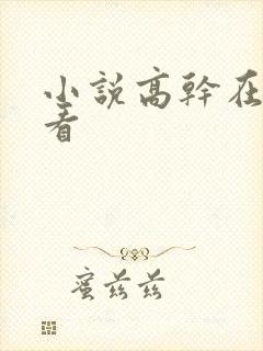 小说高干在线观看