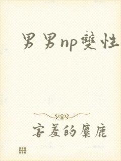 男男np双性文封面