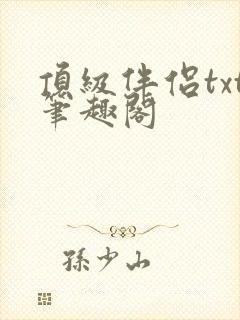 顶级伴侣txt笔趣阁封面