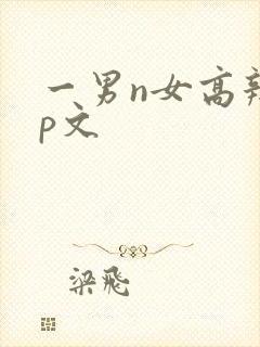一男n女高辣np文