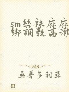 sm丝袜麻麻捆绑调教高潮小说