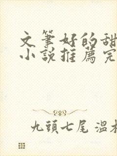 文笔好的甜宠文小说推荐完结封面