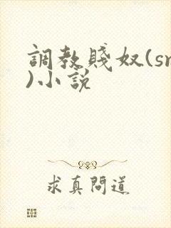 调教贱奴(sm)小说