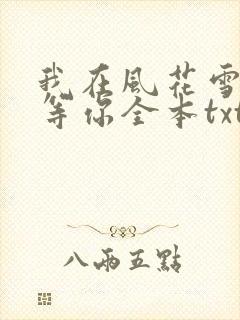 我在风花雪月里等你全本txt封面