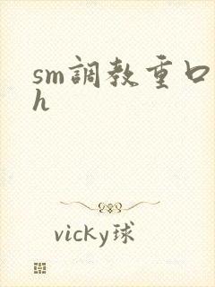 sm调教重口高h