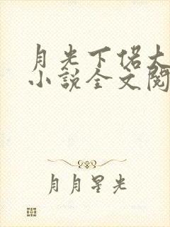 月光下偌大房间小说全文阅读