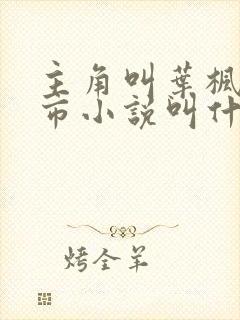 主角叫叶枫的都市小说叫什么