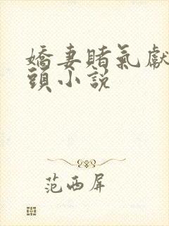 娇妻赌气献身老头小说封面