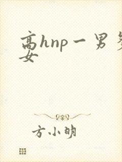 高hnp一男多女